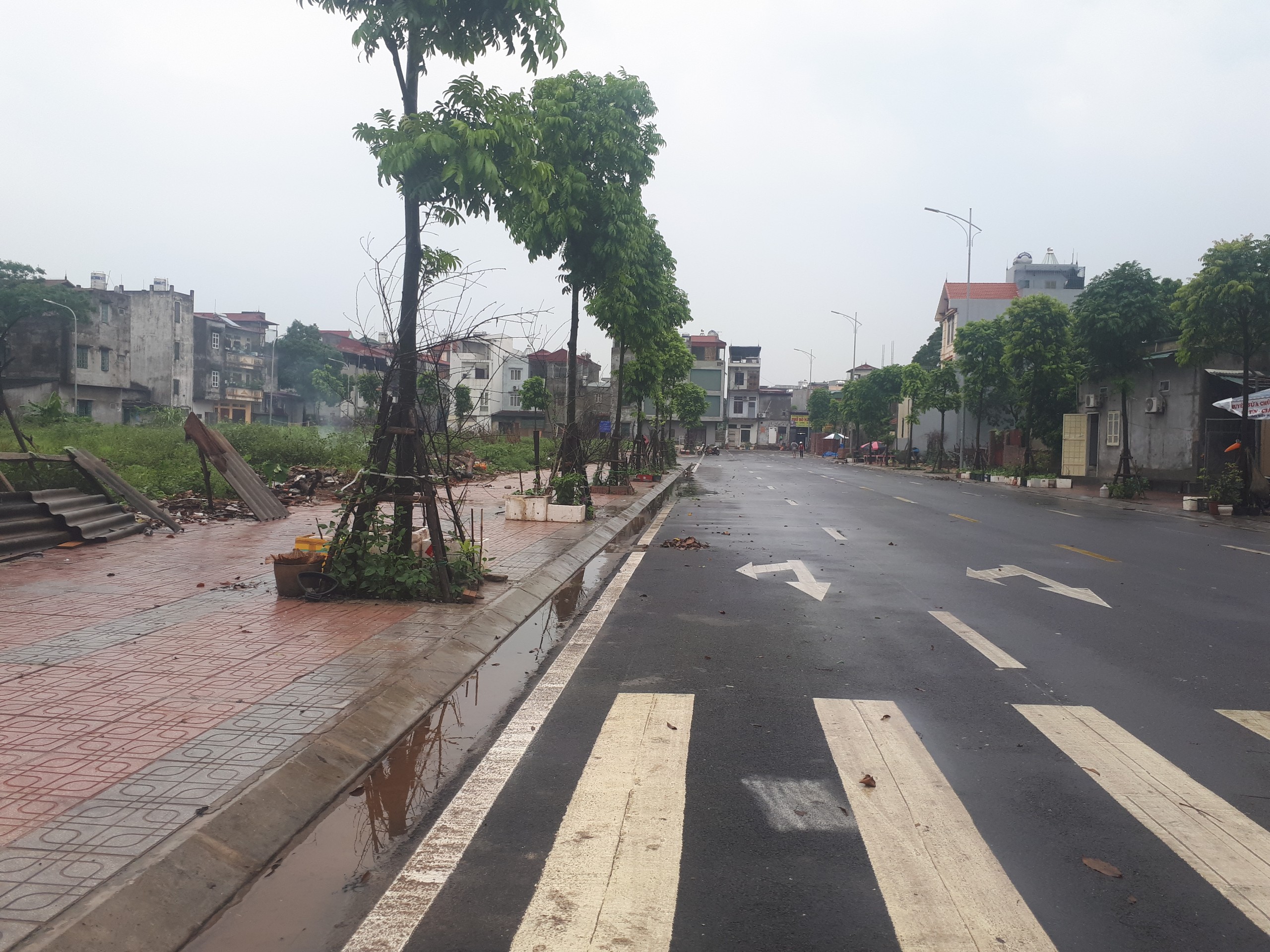 HIM LAM NEW STAR THƯỢNG THANH LONG BIÊN - Ảnh 5